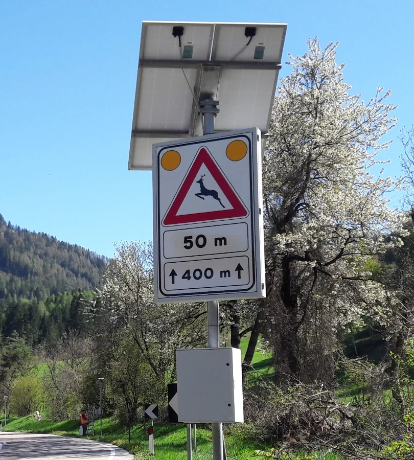 Wildlife detection and road warning system